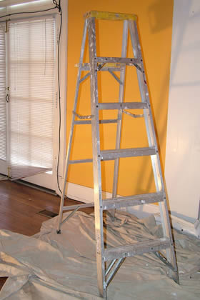 lightest step ladder